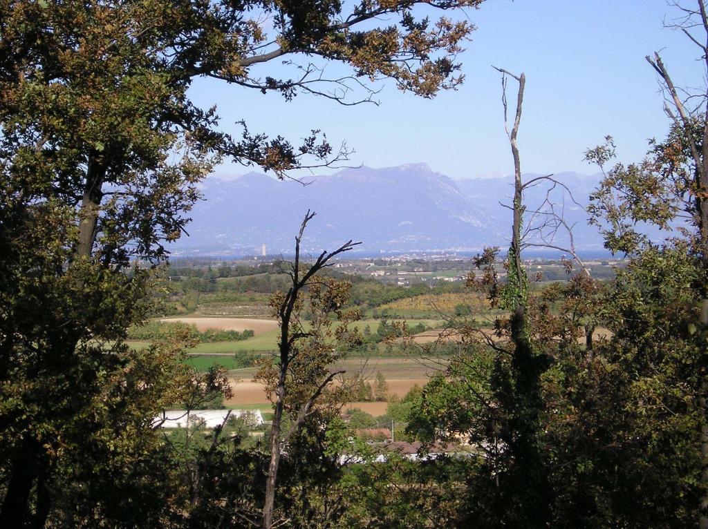 Agriturismo Dondino Cavriana ภายนอก รูปภาพ