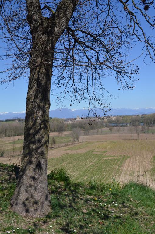 Agriturismo Dondino Cavriana ภายนอก รูปภาพ