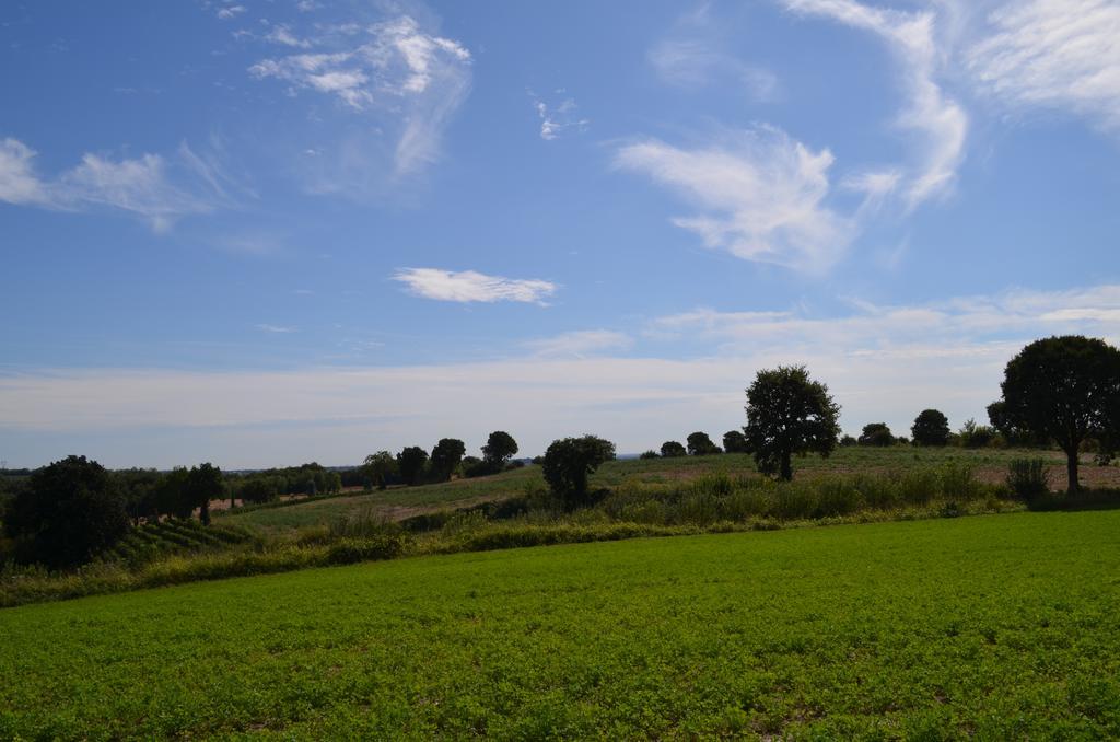 Agriturismo Dondino Cavriana ภายนอก รูปภาพ