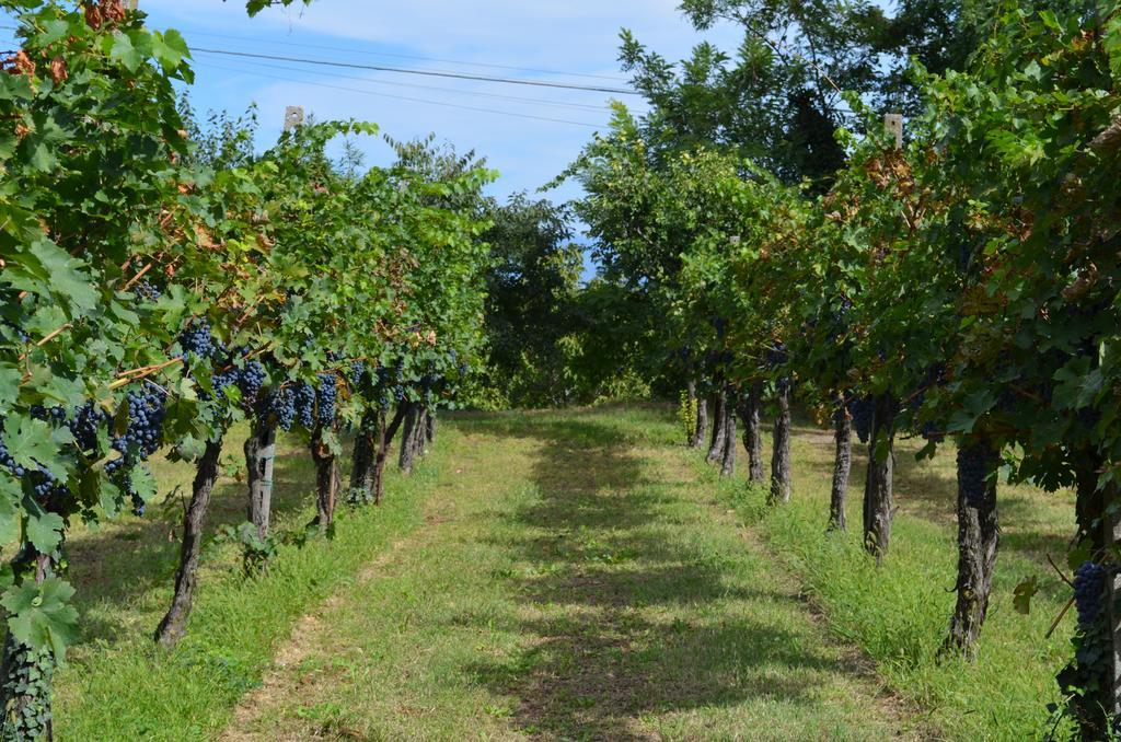 Agriturismo Dondino Cavriana ภายนอก รูปภาพ