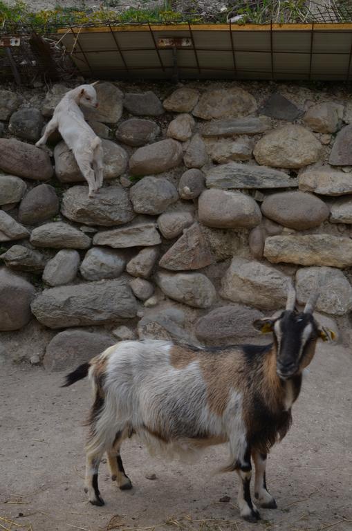 Agriturismo Dondino Cavriana ภายนอก รูปภาพ